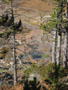 pretty sinkhole from high.JPG